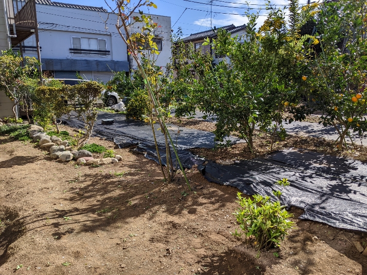 世田谷区八幡山H様の外構工事施工前画像/庭は木が生い茂っており、地面は土の状態です