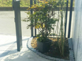 建物側から道路に向かって隅に見える植栽が家全体の温かみを演出する画像
