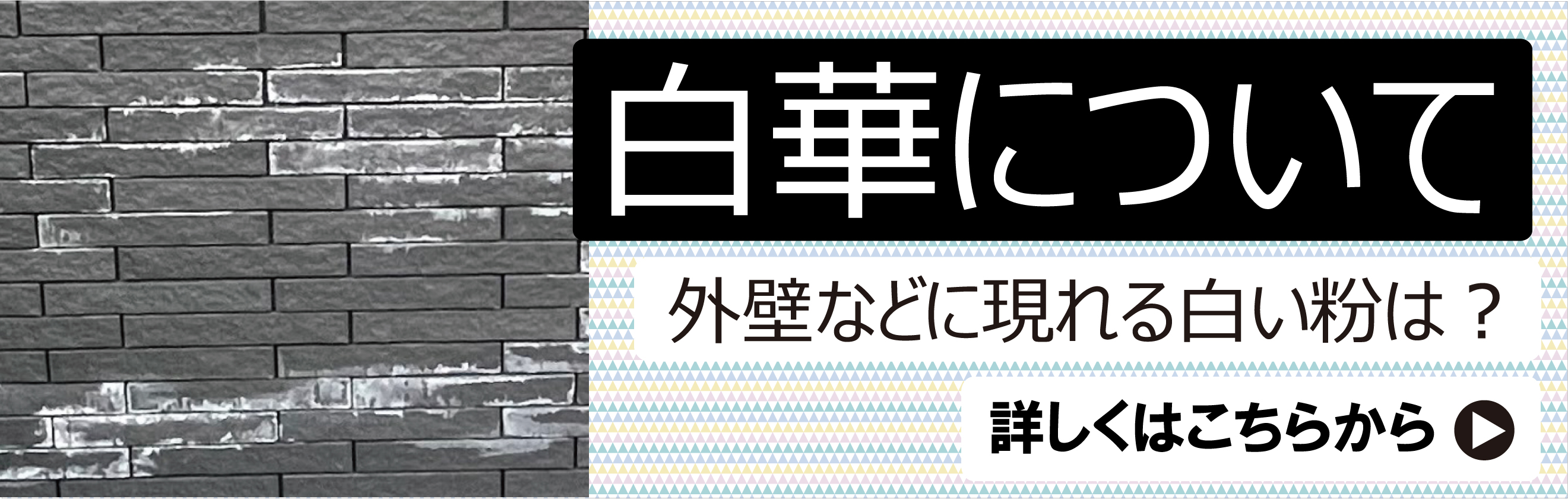 白い粉の正体　白華とは何か