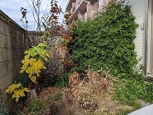 東京都大田区南久が原のT様邸現場・2025年12月撮影│庭ビフォー2